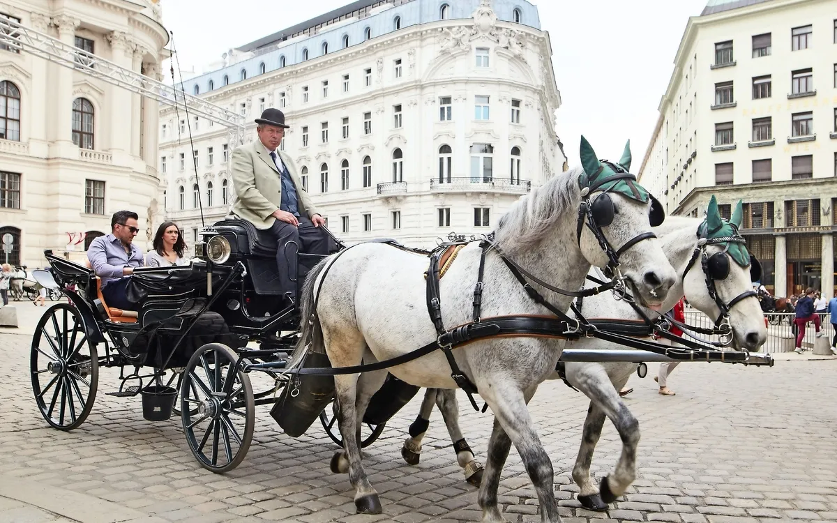 Wien für Entdecker