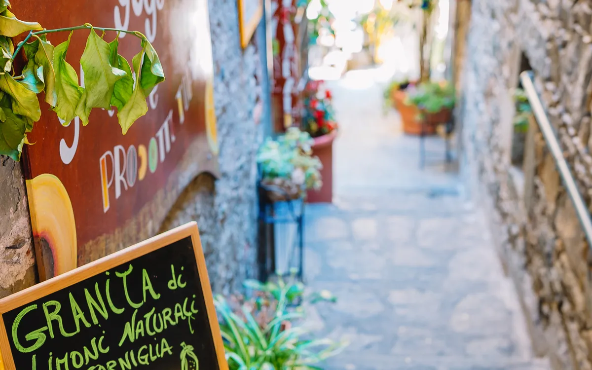 Portofino & Cinque Terre