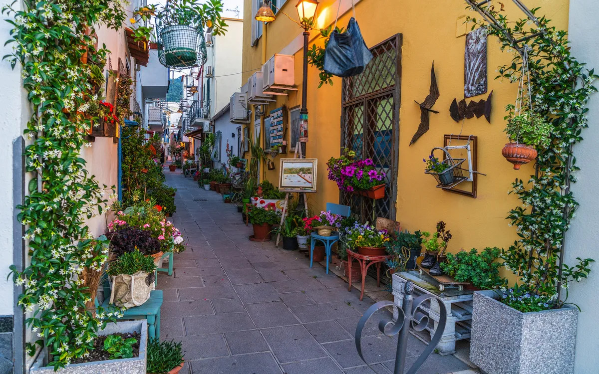 Schmale Gasse mit Blumenarrangements und gelben Gebäuden, dekoriert mit Pflanzen.