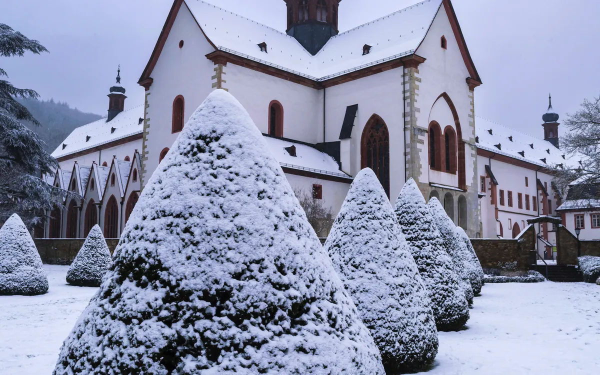 Schneebedeckte Büsche und die Basilika des Klosters Eberbach im Winter.
