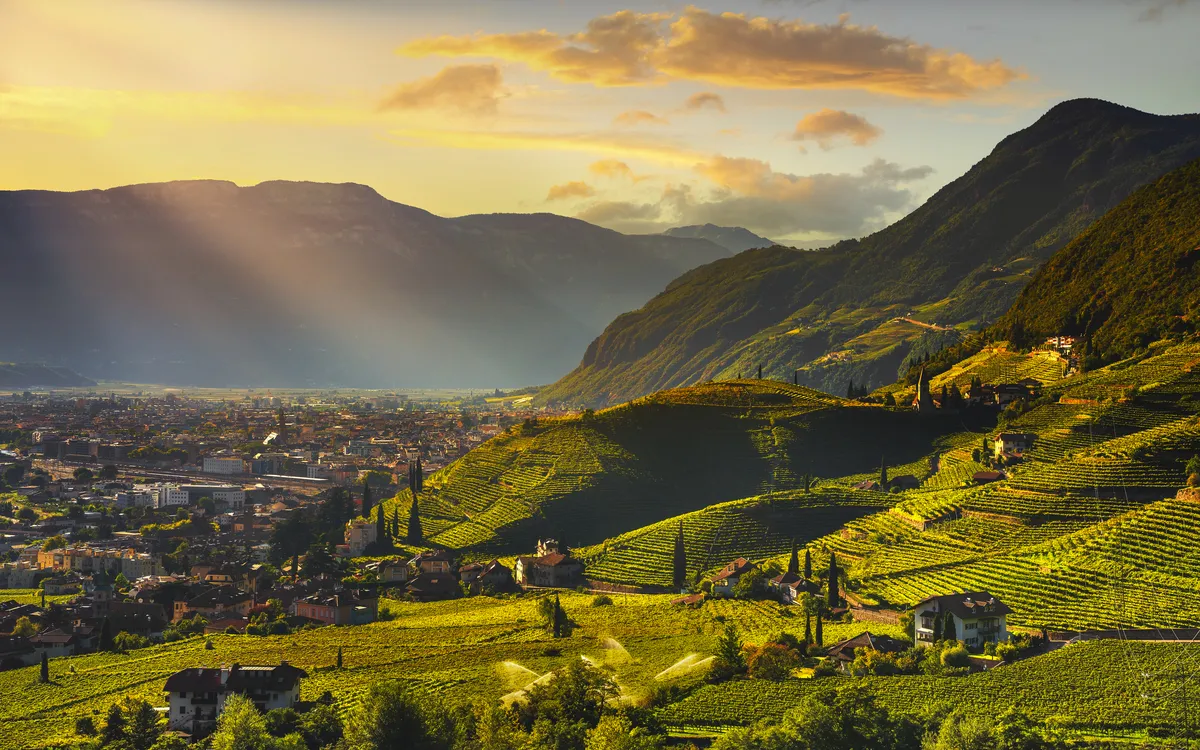 Sonnenuntergang über Weinbergen in Südtirol, mit bergiger Landschaft im Hintergrund.