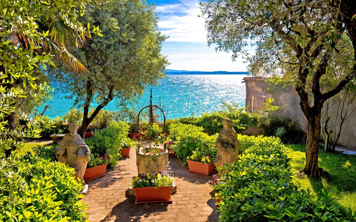 Olivenernte am Gardasee