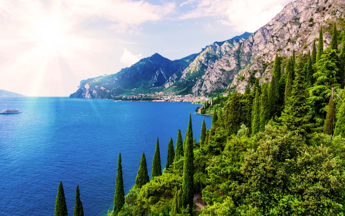 Olivenernte am Gardasee
