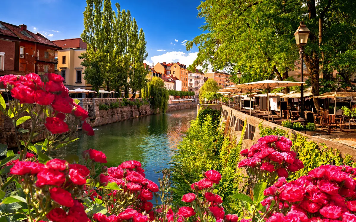 Blumen vor einem Kanal mit Cafés und Bäumen im Hintergrund an einem sonnigen Tag.