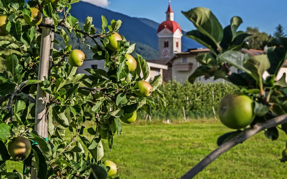 Südtirol zur Apfelblüte