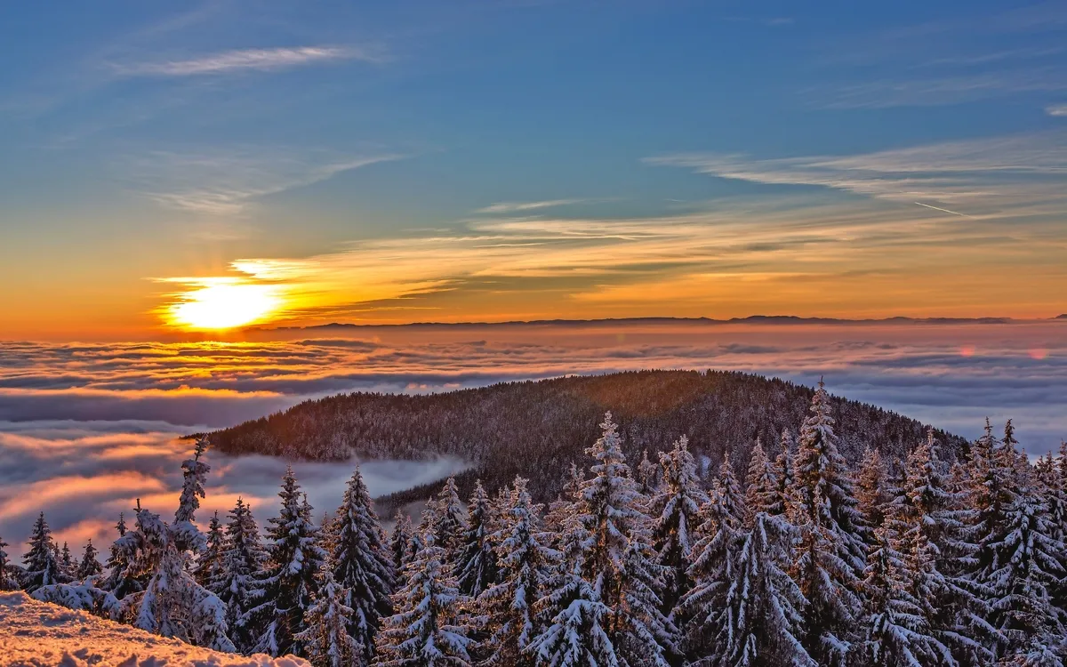 Schwarzwald „Wintervergnügen“