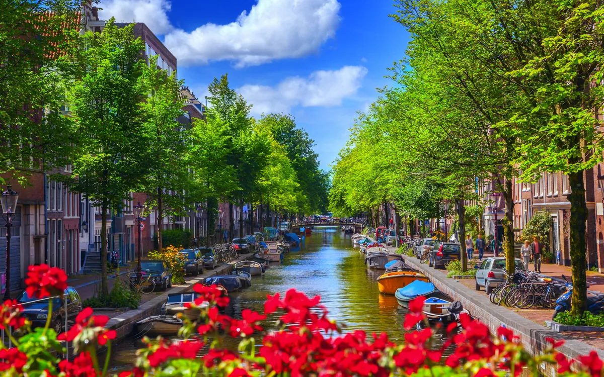 Kanal in Amsterdam mit Giebelfassaden und Blumen im Vordergrund.