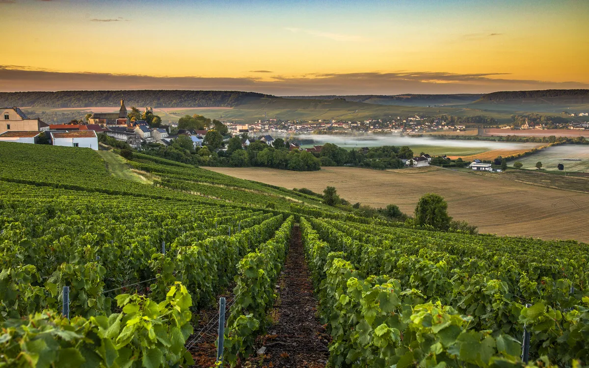 Weinberge mit Dorf im Hintergrund bei Sonnenuntergang