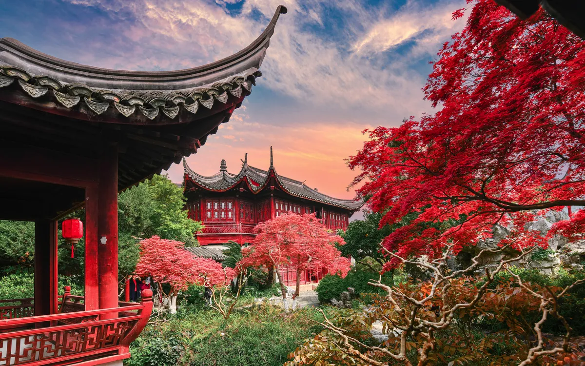 Traditioneller chinesischer Garten mit roten Ahornbäumen und Pavillon