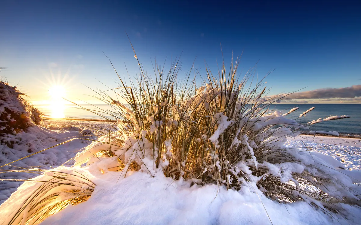 Winterlicher Sonnenaufgang am Strand mit Schnee bedecktem Dünengras an der Ostseeküste.