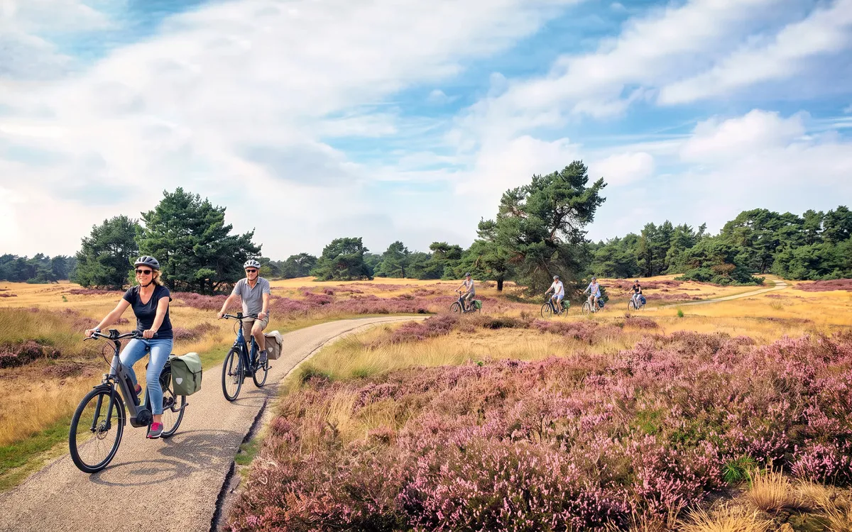 Radler im Nationalpark Die Veluwe