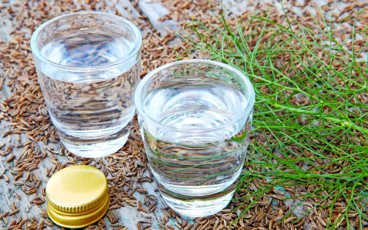 Zwei gefüllte Wassergläser mit Kümmelkörnern und grünen Zweigen daneben.