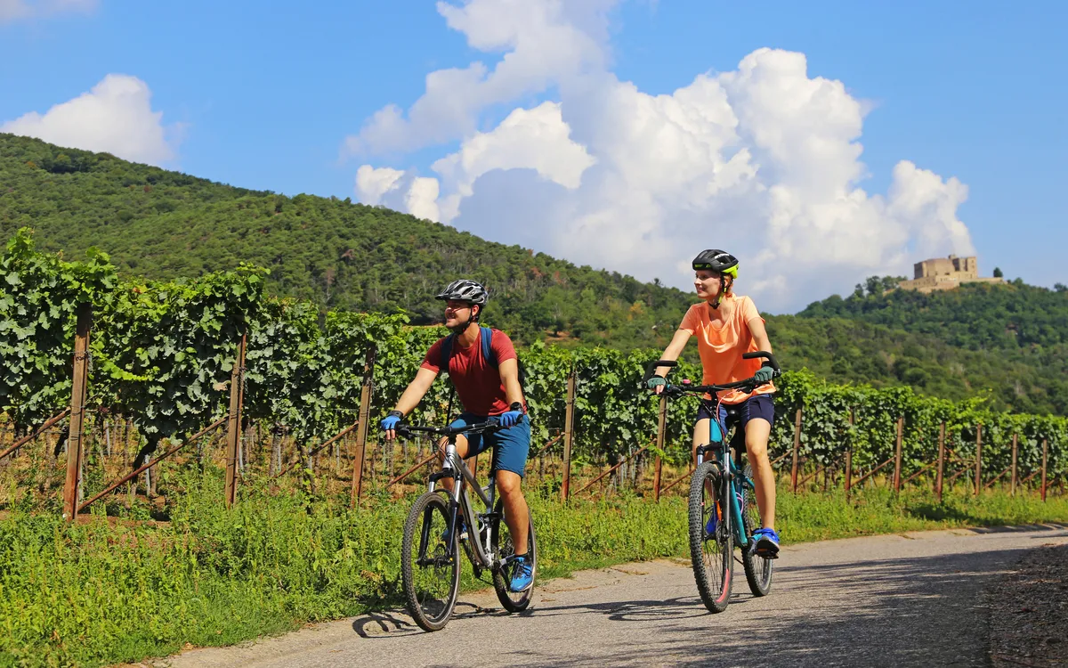 Zwei Personen radeln auf einem Weg durch Weinberge.