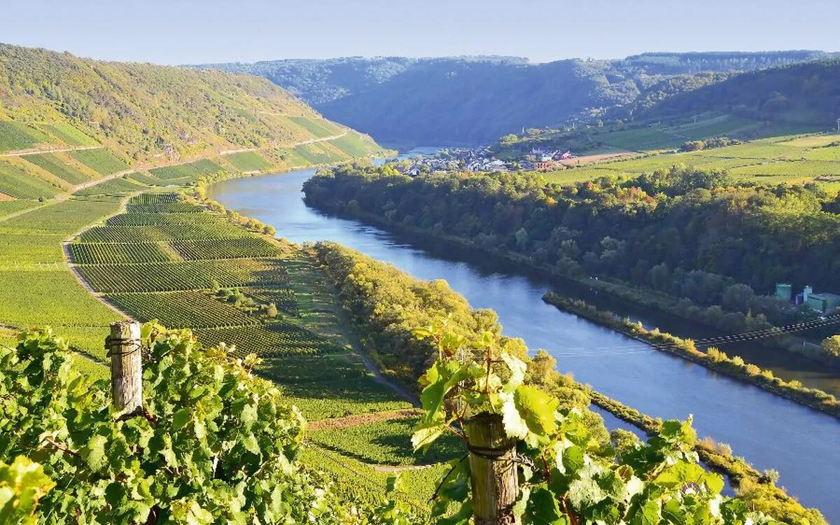 Flusslandschaft mit Weinbergen im Sonnenschein.