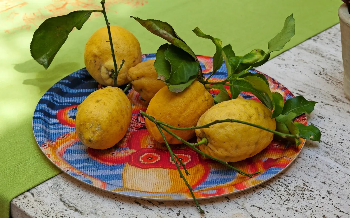 Limone am Gardasee